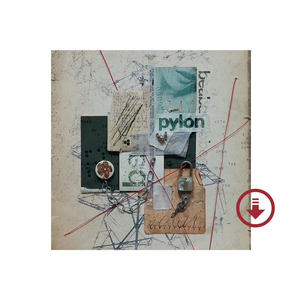 Pylon (Bonus Track Version) - Digital Album